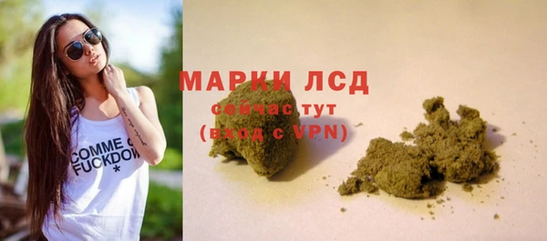 ГАЛЛЮЦИНОГЕННЫЕ ГРИБЫ Абаза