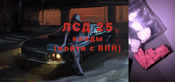 ГАЛЛЮЦИНОГЕННЫЕ ГРИБЫ Абаза