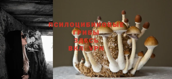 ГАЛЛЮЦИНОГЕННЫЕ ГРИБЫ Абинск
