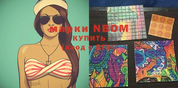 хмурый Няндома