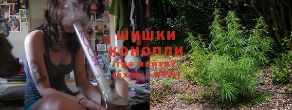 ГАЛЛЮЦИНОГЕННЫЕ ГРИБЫ Абаза