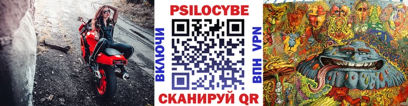 продажа наркотиков Гаврилов Посад Галлюциногенные грибы MAGIC MUSHROOMS